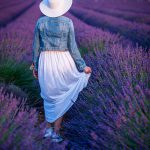 lavender-5278804_1280