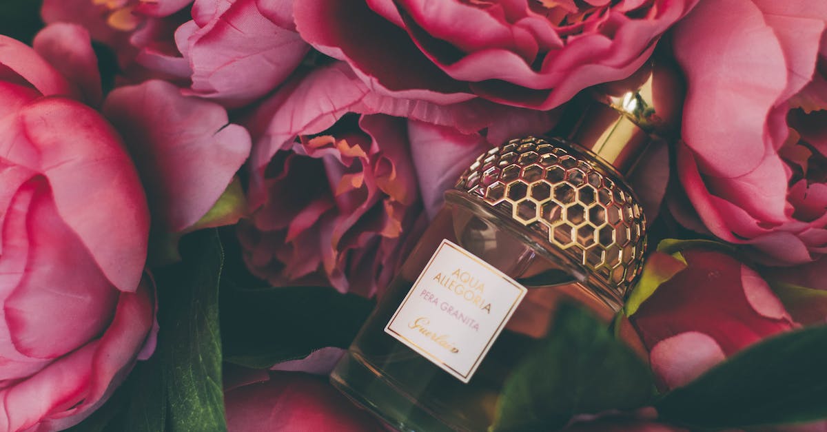 Bebe Perfumes: Discover the Enchanting Fragrance Collection